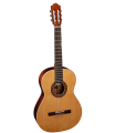 GUITARE ALMANSA 401