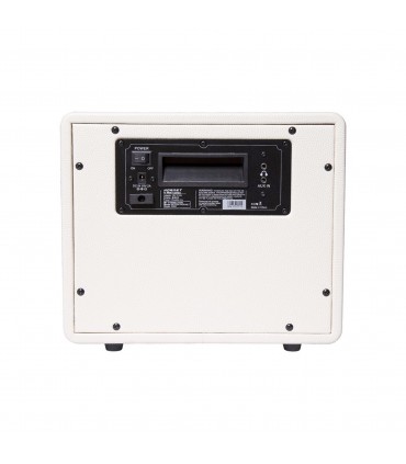 AMPLI HORNET 15 W