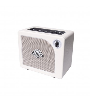 AMPLI HORNET 15 W
