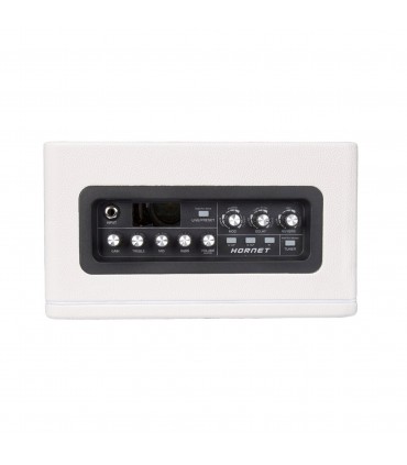 AMPLI HORNET 15 W