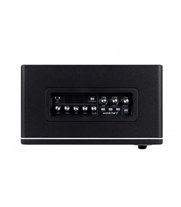 AMPLI HORNET 30W