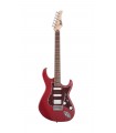GUITARE CORT G110OPBC