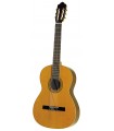 GUITARE ESTEVE MOD.1