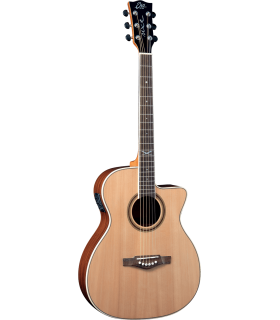 GUITARE ELCTRO ACOUSTIQUE EKO NXT100 avec housse matelassée