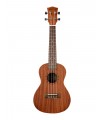 UKULELE CONCERT ALABAMA