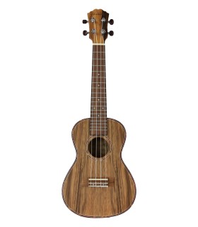 UKULELE CONCERT ALABAMA